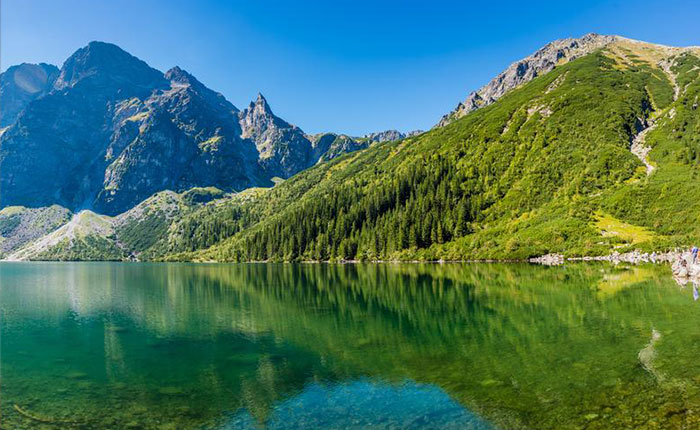 OnDemand VEAS virtual platform