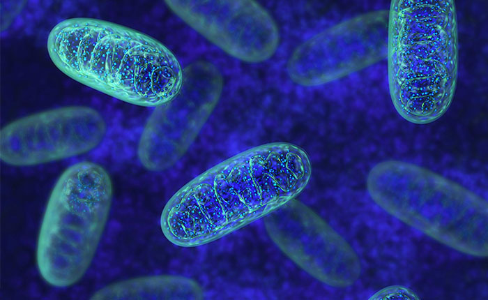 New Field Collaboration on Single Cell Analysis with University Ghent 